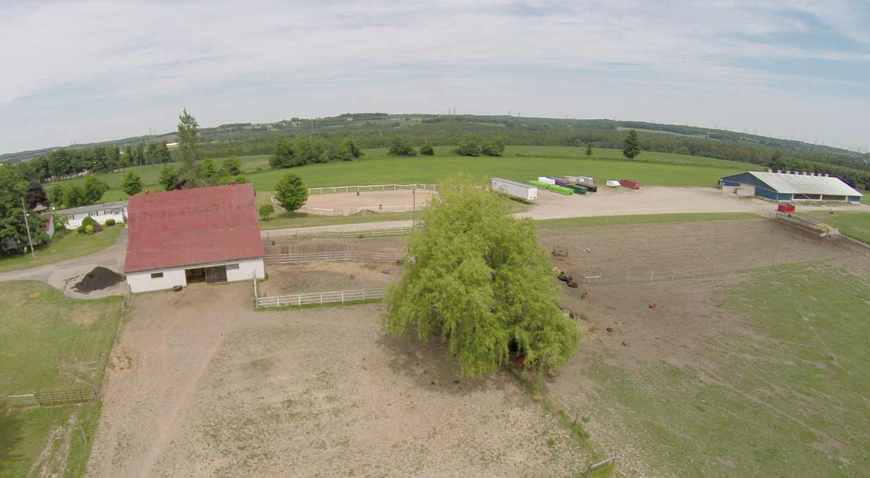 The Farm